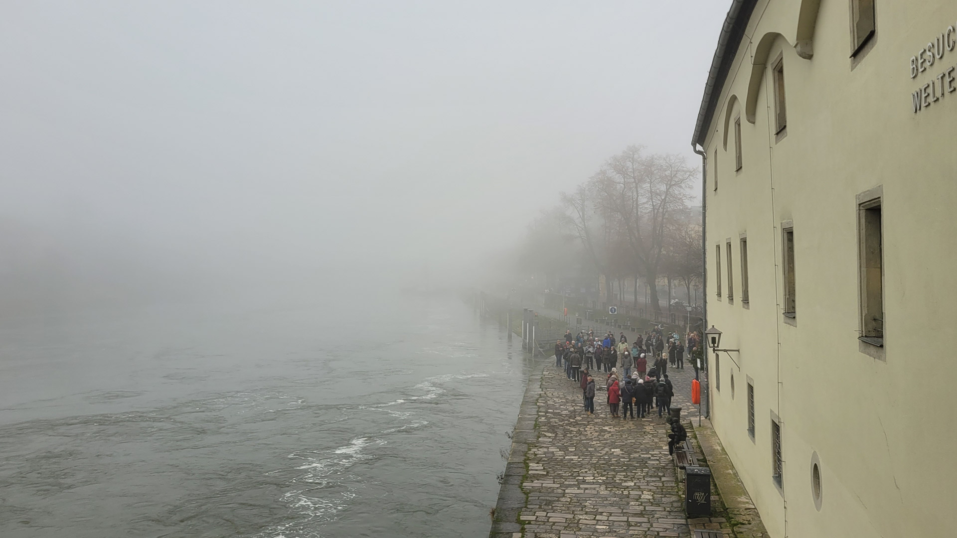 20251211_095556.jpg