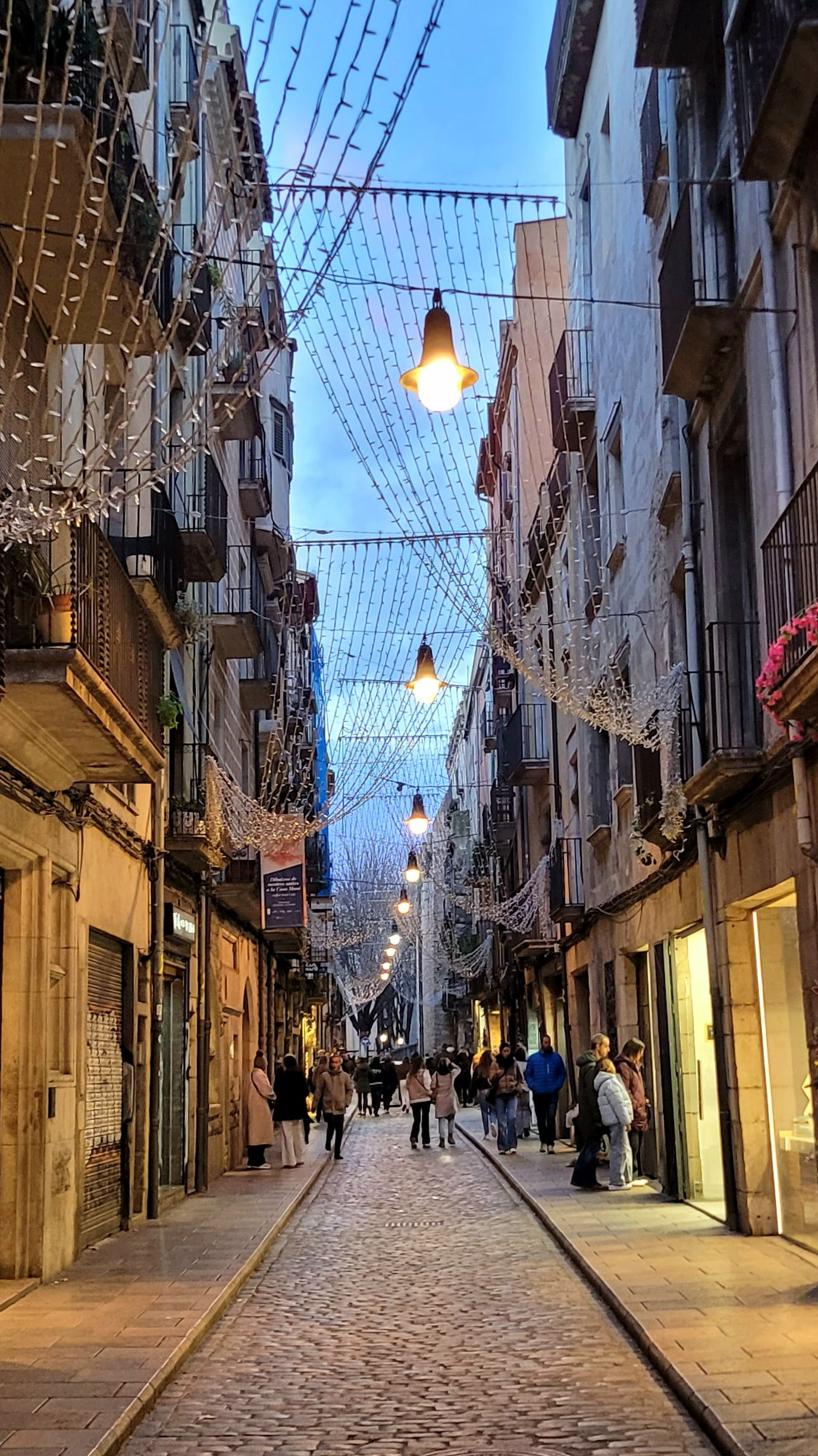 20260110_190218.jpg